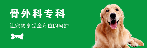 骨外科专科
