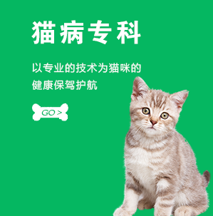 猫病专科