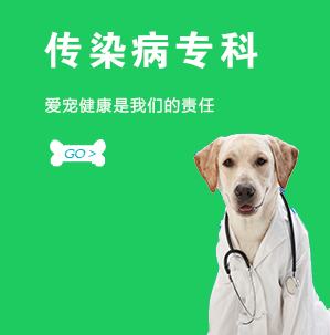 传染病专科