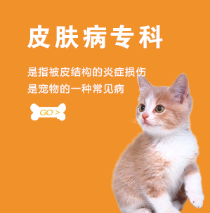皮肤病专科