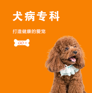 犬病专科