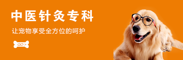 中医针灸专科